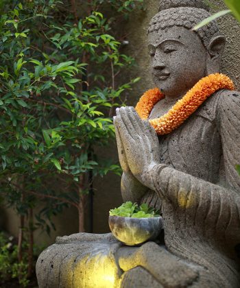 Buddha Sitting